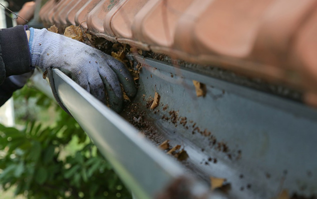 gutter cleaning